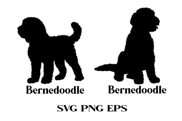 Bernedoodle Dog Silhouette SVG – A Designer’s Real-World Review