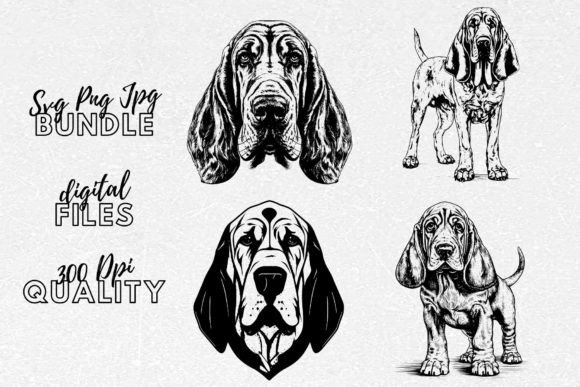 Bloodhound SVG – Honest Review for Embroidery Designers