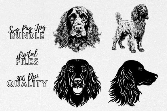Boykin Spaniel SVG – A Designer’s Review for Embroidery