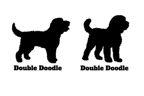Double Doodle Dog Silhouette Design Review